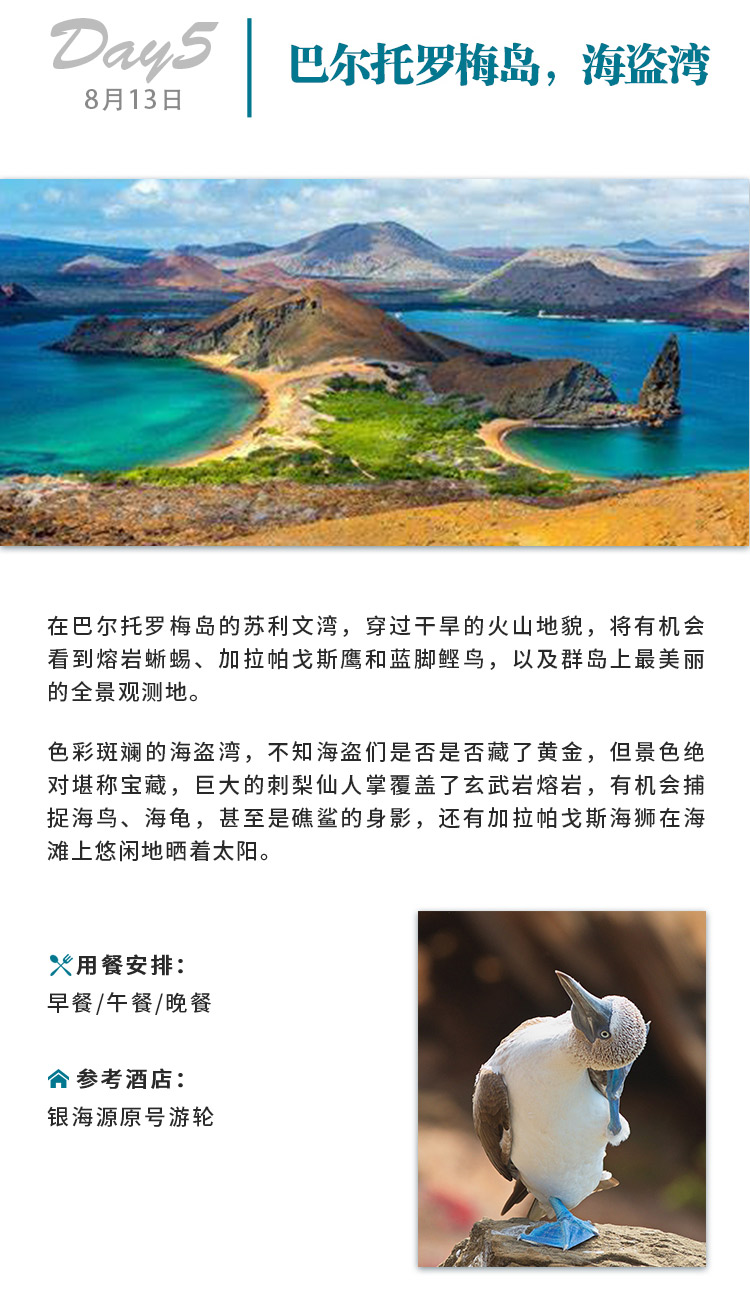 物种起源 · 探寻生命之美(图4)