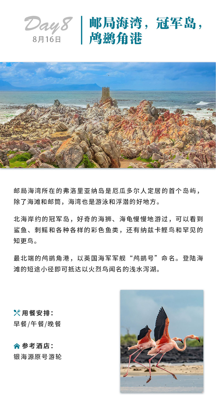 物种起源 · 探寻生命之美(图7)